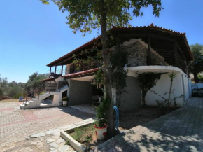 STONE HOUSE POLITIKA